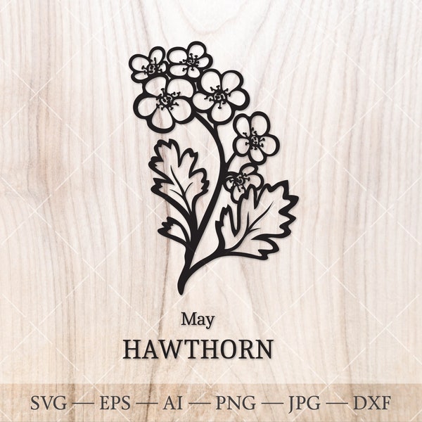 May Birth Flower Drawing Etsy