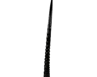 African Gemsbok Horn - Polished - Genuine - 27 3/4"