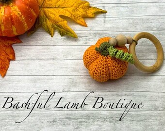 Pumpkin Baby Rattle, Photo Prop, Baby Announcement Accessory