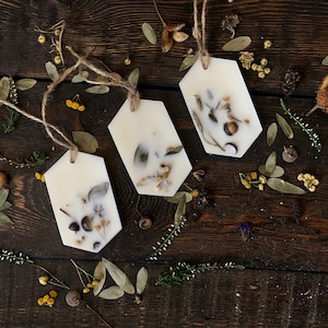 Forest Wax Melt SET, Scented wax tart set, Pine air freshener, Natural room fragrance, Stocking stuffers, Aroma therapy gift