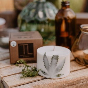 Vela de hoja de cáñamo, Vela de pilar de cera de soja natural, Vela de cera de soja de salvia esclarea, Vela única, Vela difuminada, Vela de noche con cita