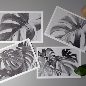 Juego de 4 postales de Monstera / Arte lineal en miniatura / Ilustraciones gráficas con tinta trazada a pluma / A6 / Sin imprimir