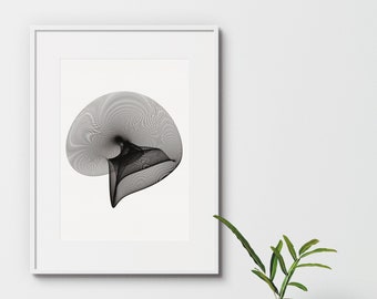 May include: A black and white abstract line art print in a white frame, hanging on a white wall. A small potted plant with green leaves is in the foreground.