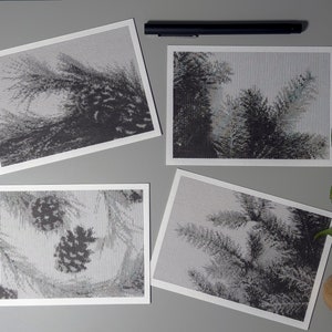 Conjunto de 4 postales de ramas perennes / Arte lineal en miniatura / Ilustraciones gráficas con tinta trazada a pluma / A6 / Sin imprimir