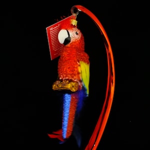 Red Parrot