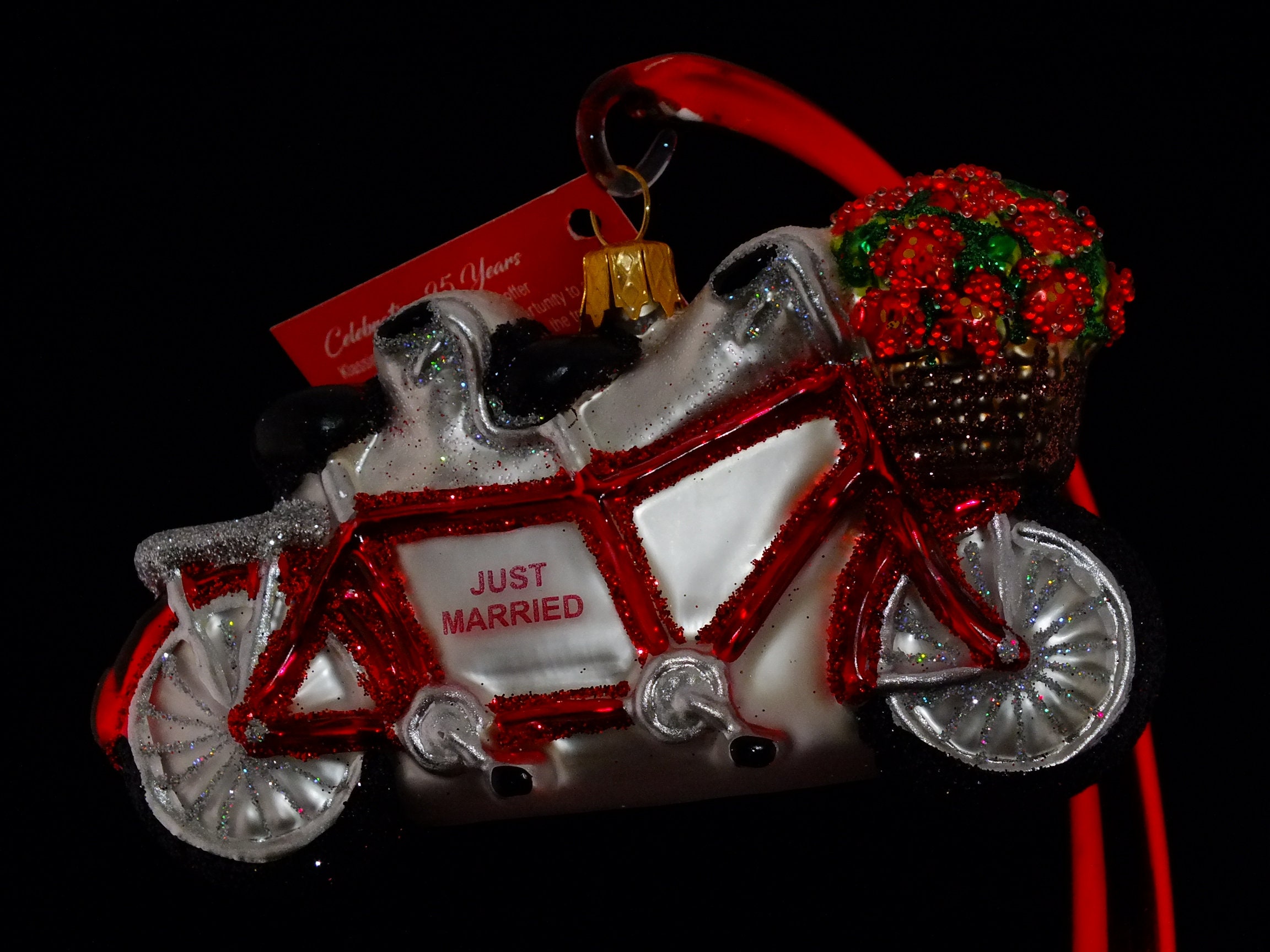 Tandem Bike ~ Just Married