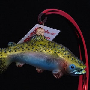 Alaskan Rainbow Trout