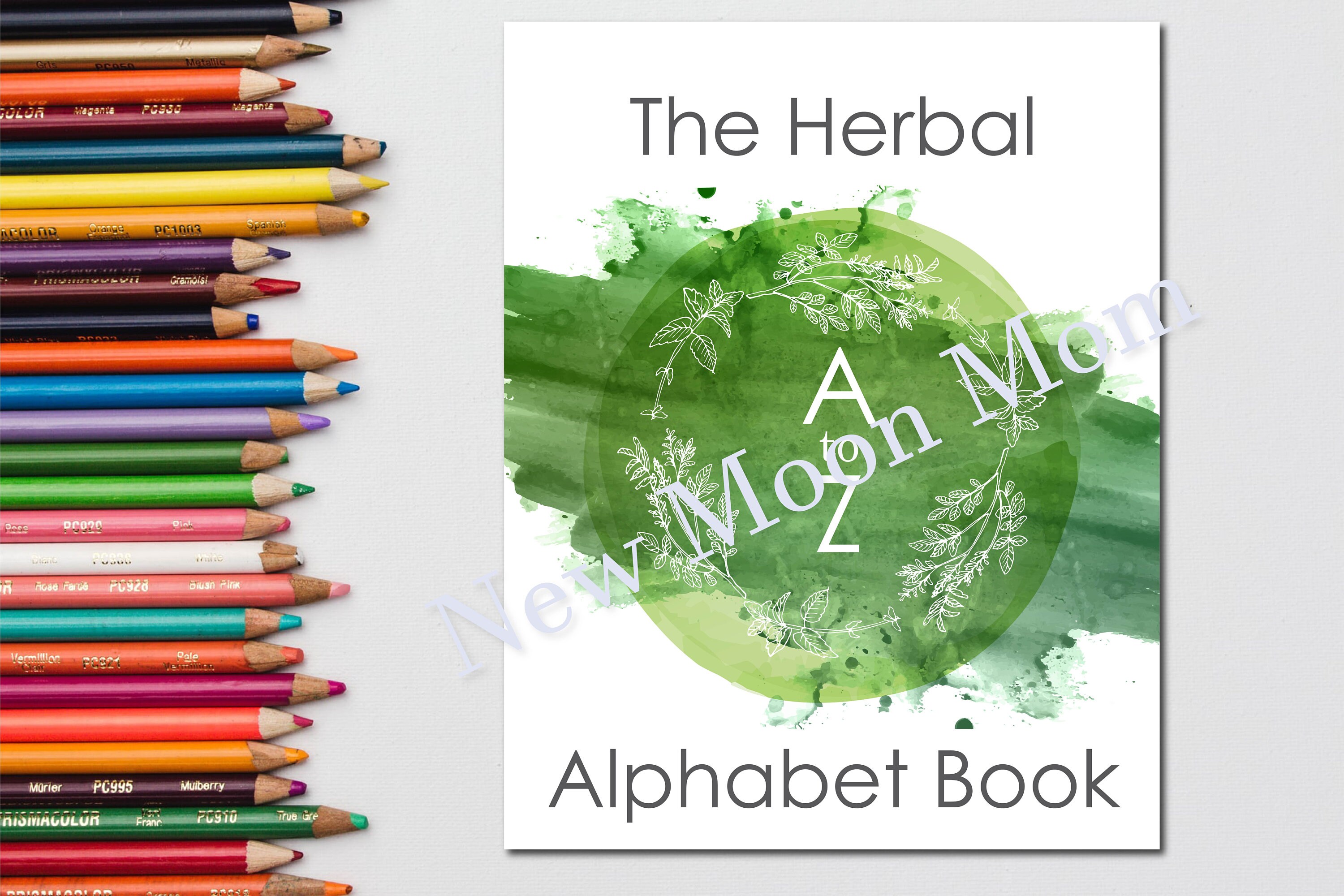 herbal abc worksheets etsy