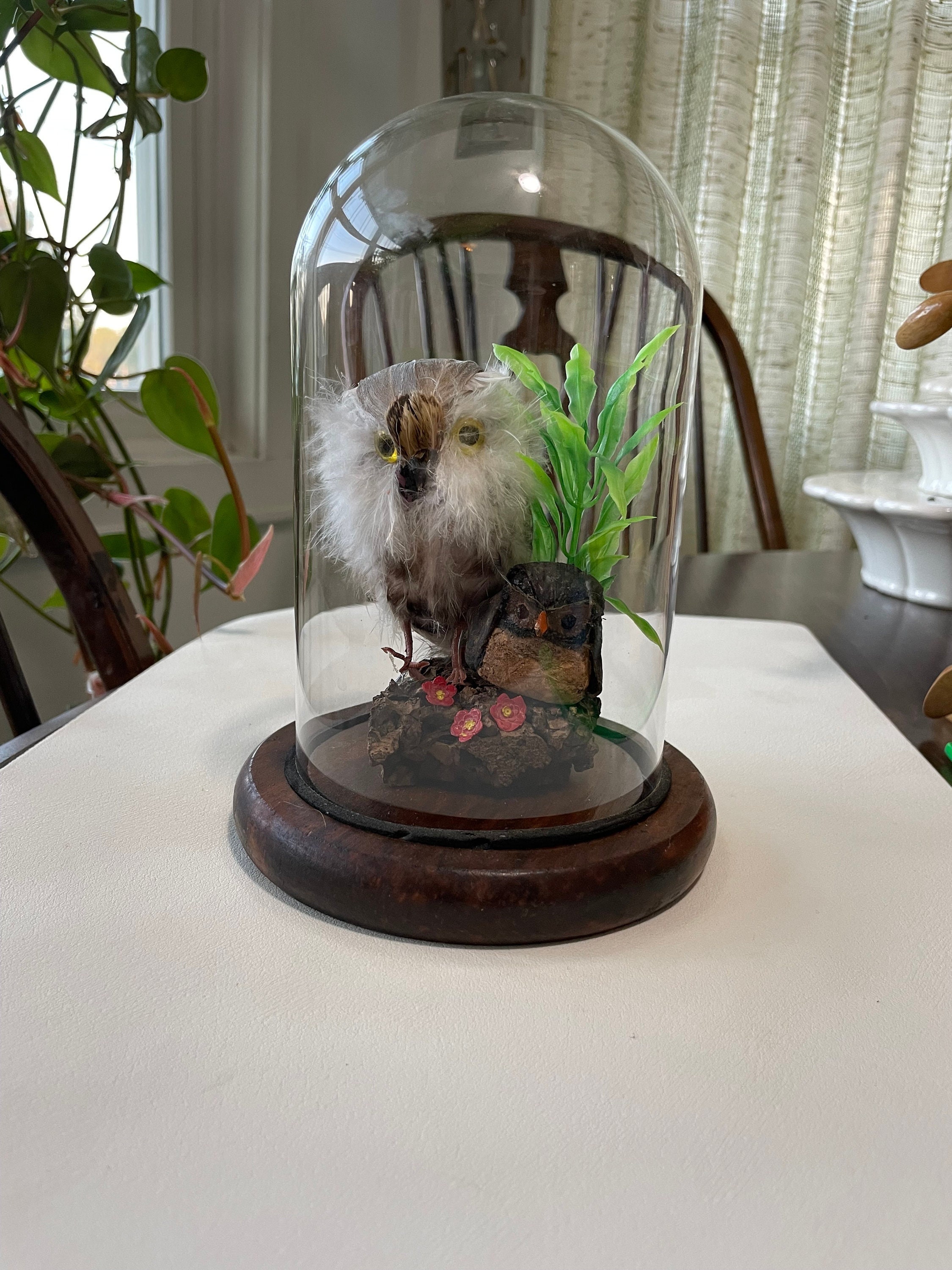 Vintage Faux Owl Taxidermy Diorama Glass Dome