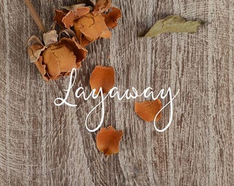Layaway for Kaian Emmelyn 14k White Gold with Moissanite size 9.5