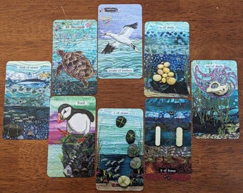 Tarot Reading: 8 cards