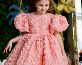 Puede incluir: Una niña pequeña con un vestido rosa con un patrón de rosas en 3D. El vestido tiene mangas abullonadas y una falda completa. La niña está de pie frente a una pared verde con flores artificiales.