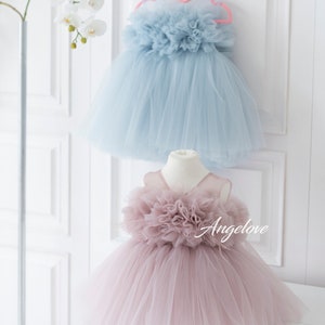 Elegant blush pink baby dress with soft tulle and 3D floral details, newborn photoshoot dress, special occasion outfit