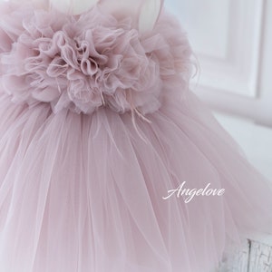 Pink baby dress with voluminous tulle skirt and floral top, elegant outfit for photoshoot or celebration