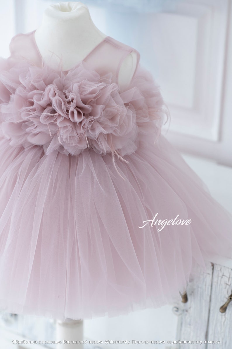 Pink baby dress with voluminous tulle skirt and floral top, elegant outfit for photoshoot or celebration