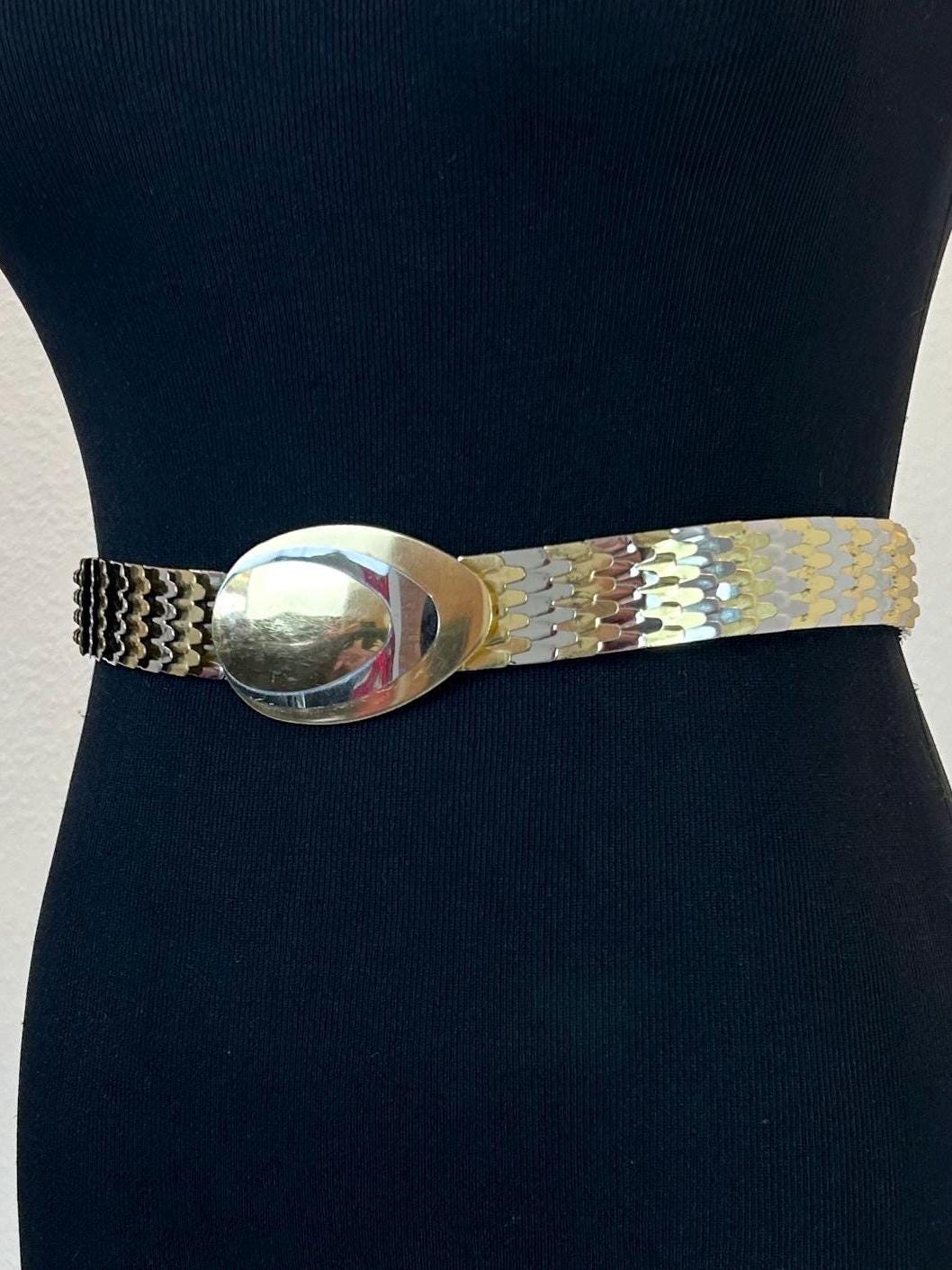 1970s Scale Belt / 70s Fish Scale Belt / 1970s Silver Gold  display picture 3