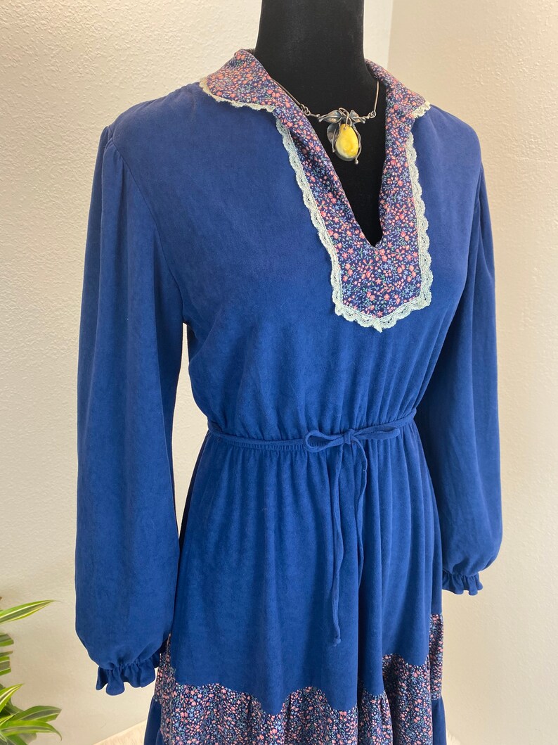 1970s Prairie Dress / 70s Prairie Dress / vintage Prairie Dress image 10