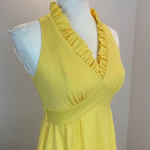 1970s maxi dress / 70s maxi dress / 1970s dress / vintage sundress image 10