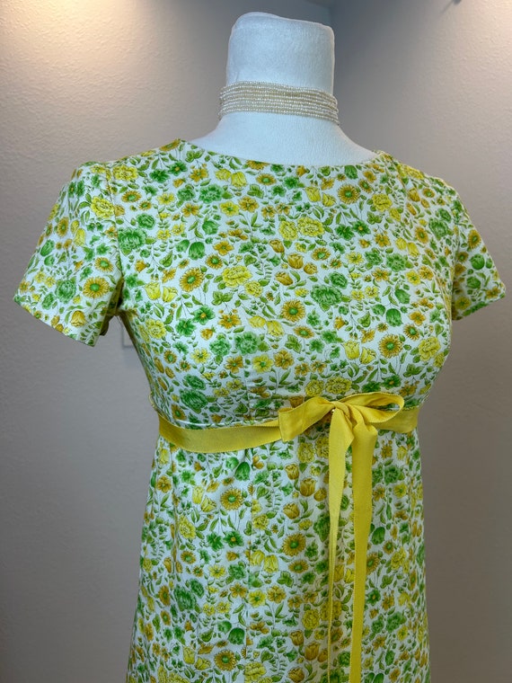 1960s dress / 60s dress / 1970s dress / 70s dress… - image 5