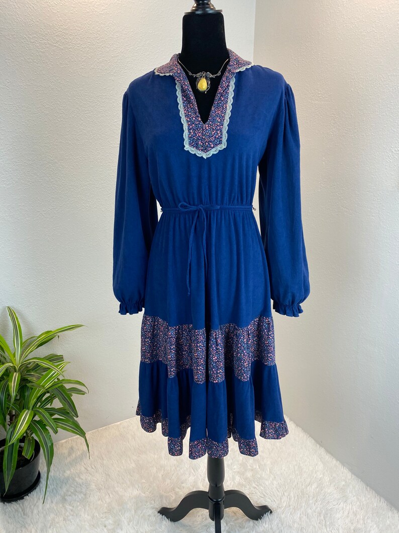 1970s Prairie Dress / 70s Prairie Dress / vintage Prairie Dress image 4