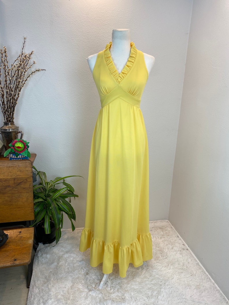 1970s maxi dress / 70s maxi dress / 1970s dress / vintage sundress image 9