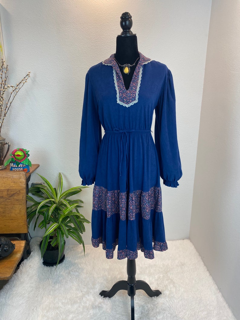 1970s Prairie Dress / 70s Prairie Dress / vintage Prairie Dress image 8