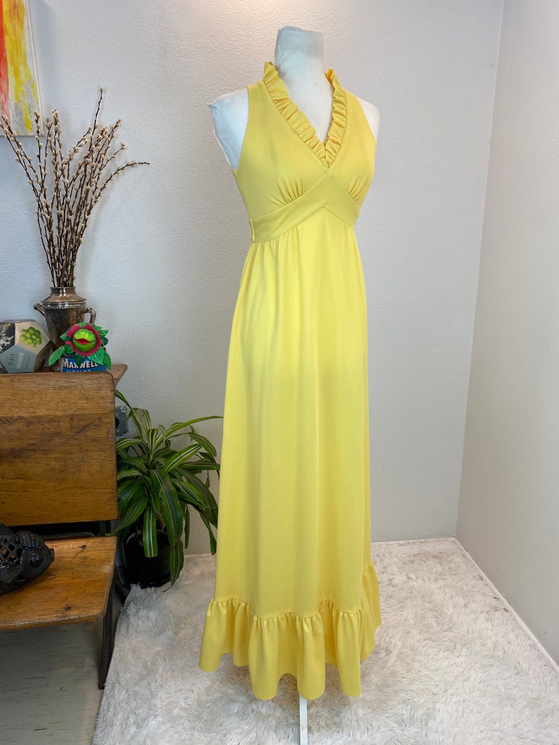 1970s maxi dress / 70s maxi dress / 1970s dress / vintage sundress image 8