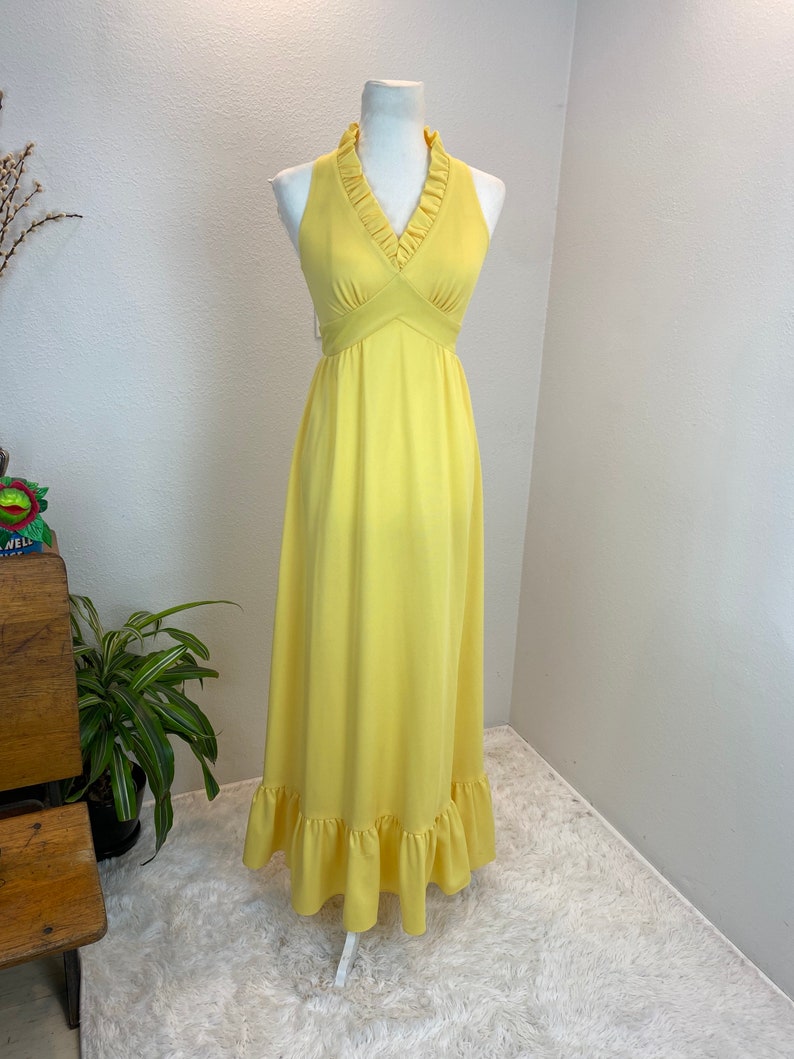 1970s maxi dress / 70s maxi dress / 1970s dress / vintage sundress image 2