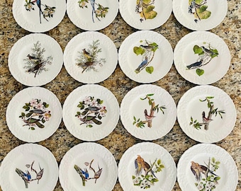 1940s John James Audubon Birds of America Porcelain Plates by Alfred Meakin, England