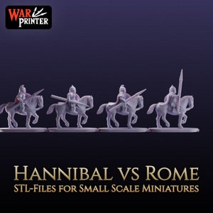 Carthaginian Army 15mm (punic War Era) image 6