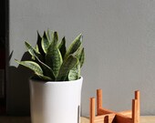Swisense -Modern Ceramic White Round Medium Flower Pot 8 inch For Indoor and Outside Large Planter Stand Not Included Only Planter