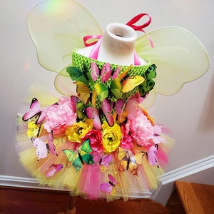 Magical Butterfly Tutu Dress
