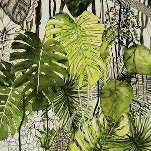 Puede incluir: Ilustración en acuarela de hojas tropicales en tonos verdes y negros sobre un fondo blanco. La imagen presenta grandes hojas de monstera, helechos y otro follaje, creando un patrón exuberante similar a la jungla. La obra de arte tiene una estética pintada a mano.