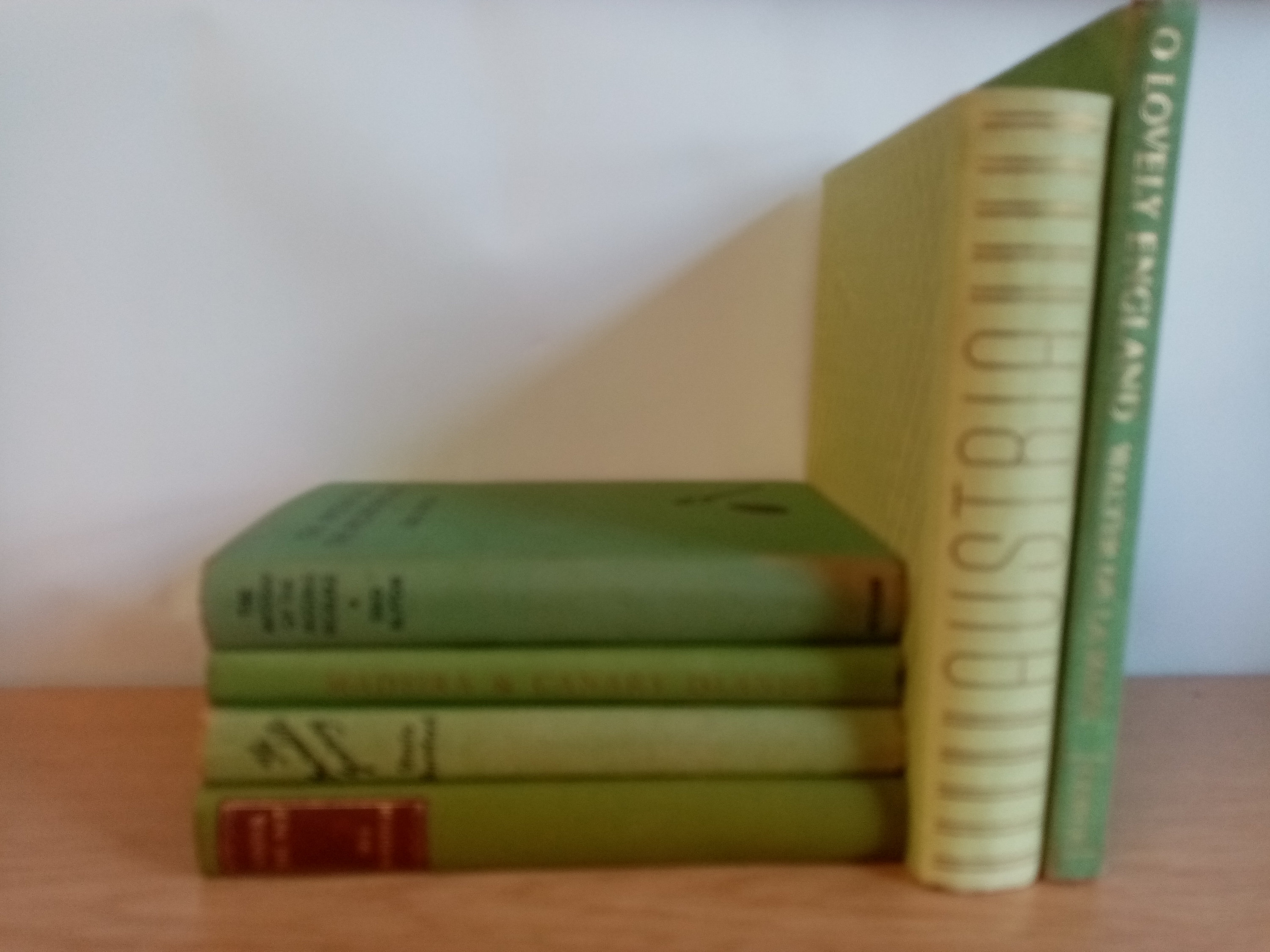 Decorative Green Book Stack Vintage Green books for Home Decor Etsy