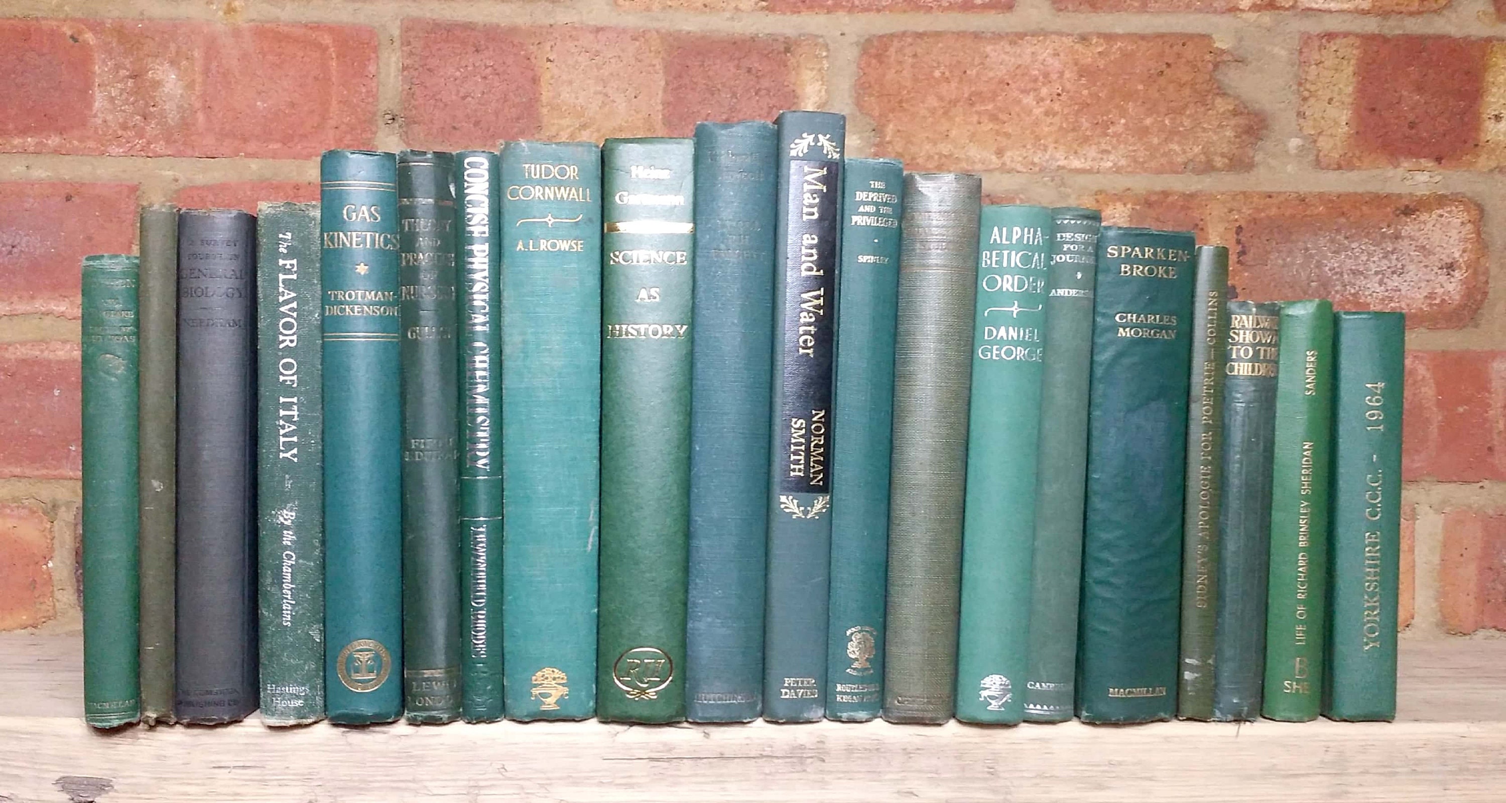 Decorative Book Set Stack Bundle 20 Green Vintage books Etsy