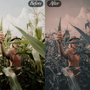 Peut inclure: Image divis&eacute;e montrant une personne dans un champ de ma&iuml;s, v&ecirc;tue d'un haut couleur rouille et d'un chapeau marron. Le c&ocirc;t&eacute; gauche est une image avant avec des &eacute;pis de ma&iuml;s verts et un ciel bleu. Le c&ocirc;t&eacute; droit est une image apr&egrave;s avec une palette de couleurs sourdes.