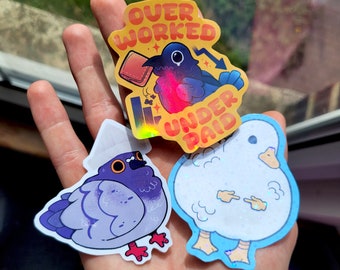 Pigeon Sticker, Silly Bird Vinyl Decal, Holographic Bird Sticker, Pigeon Lover Gift