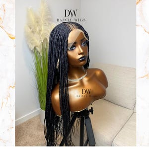 May include: A black braided wig on a mannequin head. The wig features a lace front and long, flowing braids. The mannequin is displayed on a stand, against a neutral backdrop. The text "DW DAINTY WIGS" is visible on the image.