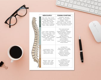 ROF Patient Handout | Chiropractic Report Of Findings | Spinal Nerve Chart | Chiropractic Nerve Chart