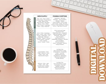 ROF Patient Handout Digital Download | Report Of Findings | Spinal Nerve Chart | Chiropractic Nerve Chart
