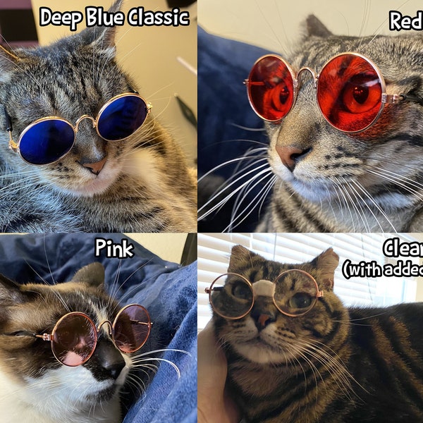 Cat Sized Sunglasses