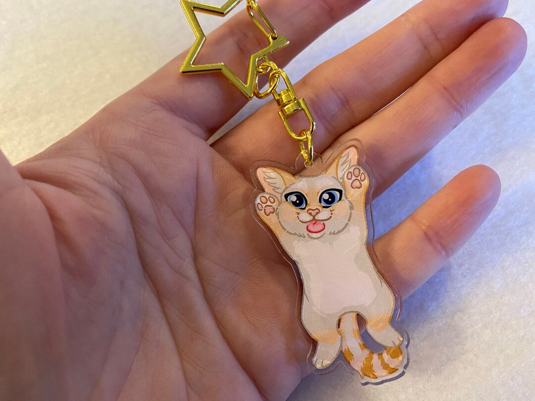2 Flapjack Kitty Doublesided Acrylic Charm Keychain Etsy