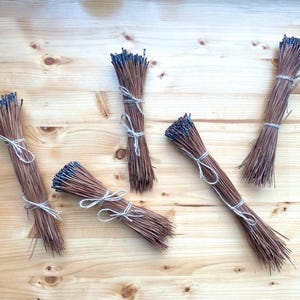 May include: Bundles of dried pine needles tied with twine, arranged on a light wood surface. The needles are brown with dark tips, and the twine is a natural off-white color. The bundles are evenly spaced.