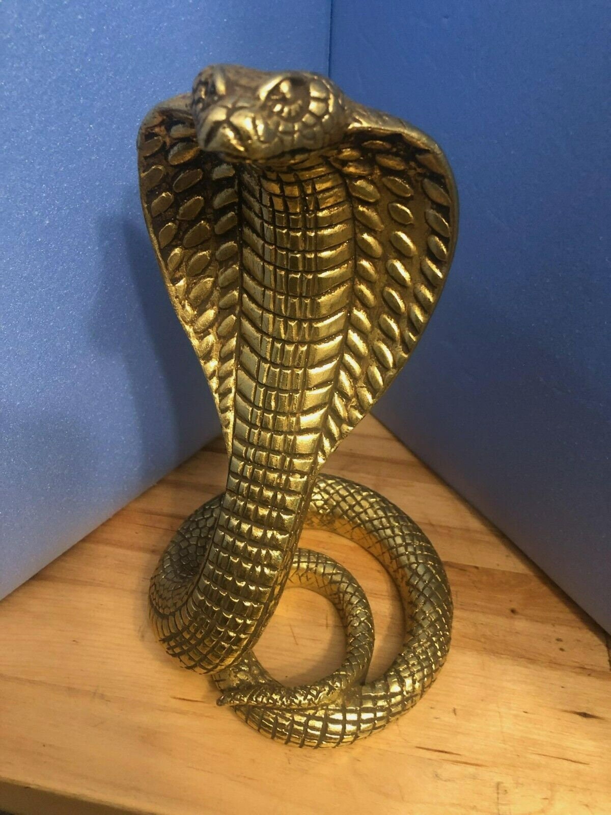 Cobra egiziano Italia