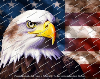 American Flag Eagle, png, patriottische kunst (digitale download)
