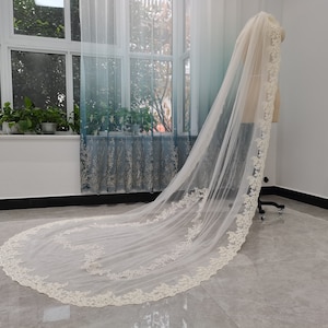 Romantic Wedding Veil Lace Applique Heart Shaped Bridal Veil One Layer Cathedral Length Wedding Veil Champagne Tulle Wedding Veil