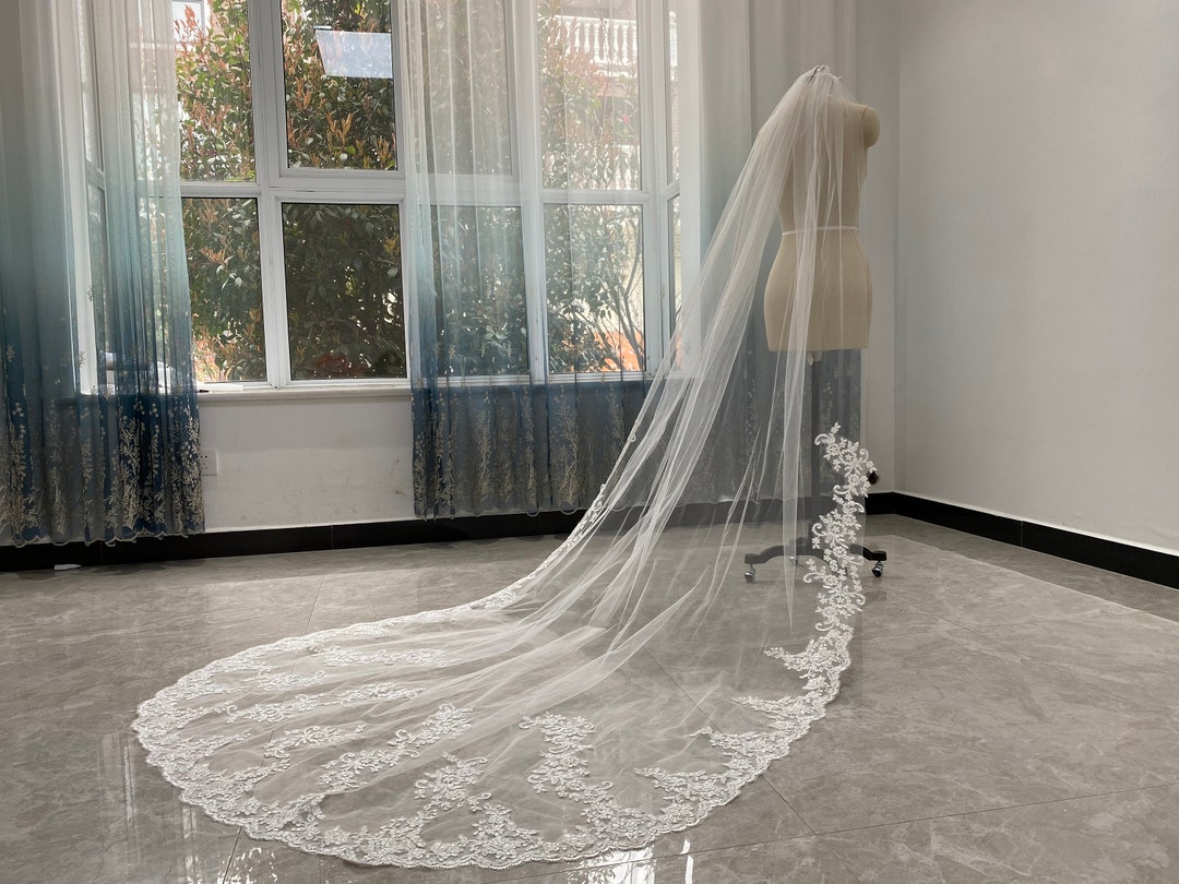 Lace Cathedral Wedding Veil Eyelashes Lace Edge Veil Lace Applique