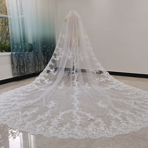 Romantic Wedding Lace Cathedral Veil White Or Ivory Cathedral Length One Layer Tulle Lace Edge Decoration Bridal Veil With Comb image 9