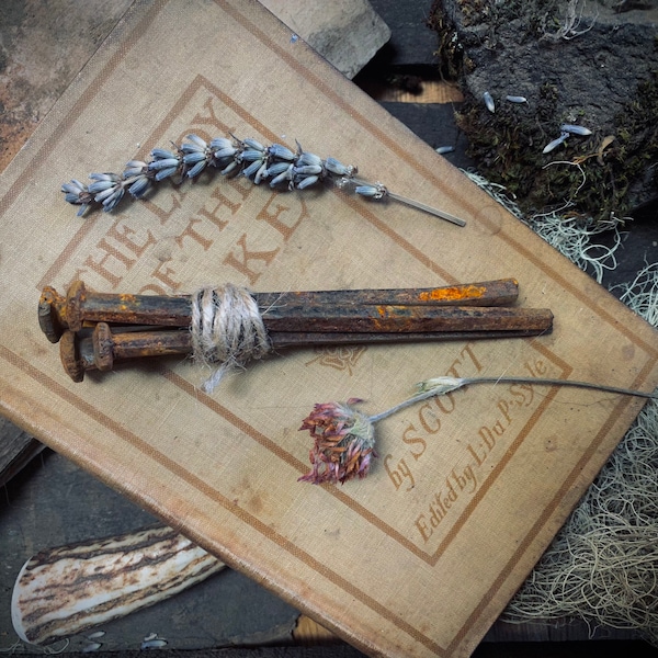 Large Antique Witch Nails | Coffin Nails | Candle Scribe | Protection Magick | Conjure | Voodoo | Rootwork | Witchcraft | Altar Tools Hoodoo
