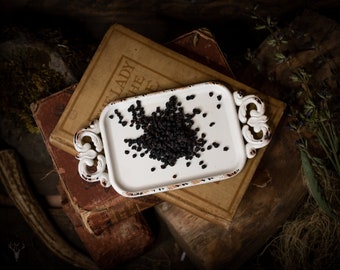 Può includere: Un vassoio in ceramica bianca con un manico decorativo si trova sopra una pila di vecchi libri. Il vassoio è pieno di bacche di sambuco nere secche.
